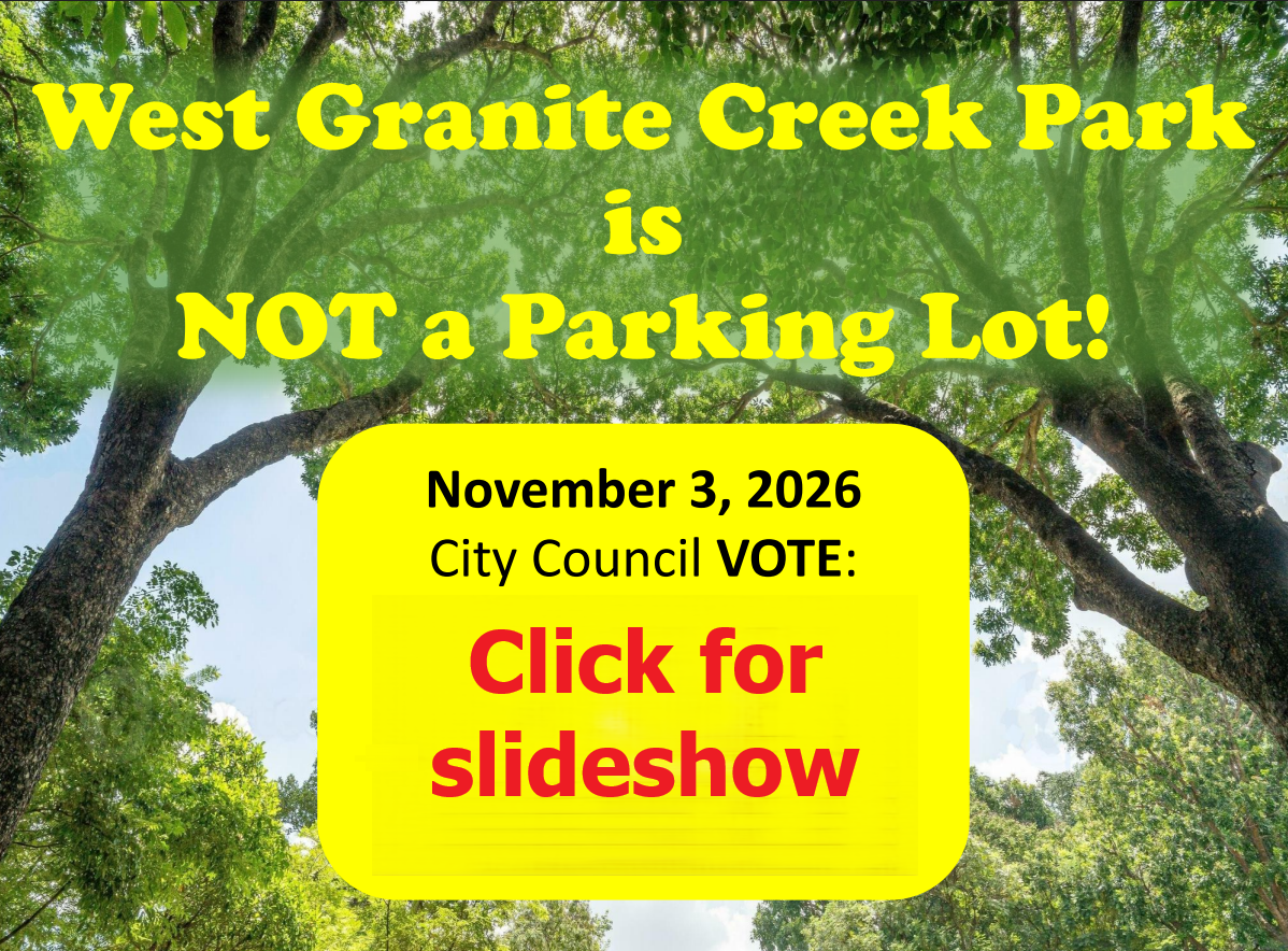 City Council Nov 3 slideshow image for web - Click